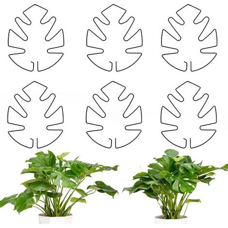 Soportes para plantas - 6 unidades - Soportes para plantas Monstera - Soportes para tallos de plantas - Soportes para plantas de interior - Soportes anticaída - Duraderos - Soportes estabilizadores pa (1/5)
