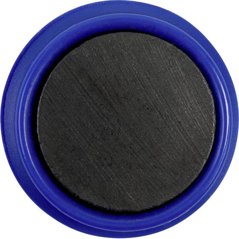 magnetoplan Magnet Basic Serie (Ø) 32 mm rund Blau 10 St. 1863203