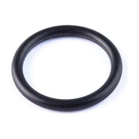 Breiter An-29-Artic-O-Ring (100 Einheiten)