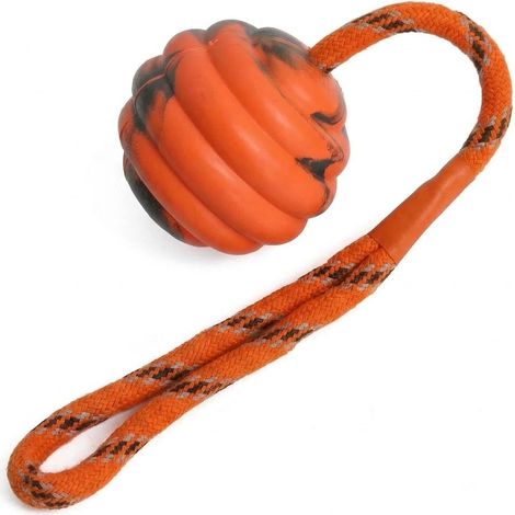 Balle en corde de caoutchouc – L'outil idéal pour l'entraînement, l'exercice et la récompense du chien – Conçue pour les chiens de taille moyenne, convient pour rapporter, attraper, lancer et jouer à 