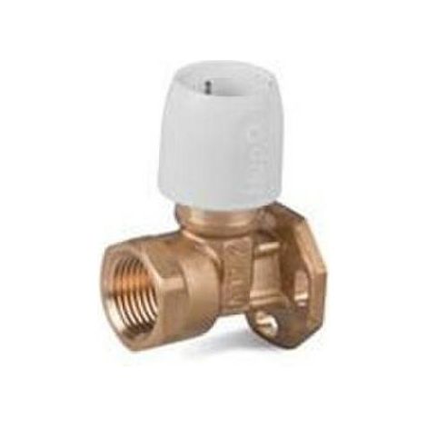 SAUNIER DUVAL codo placa 151/2 polibut. saunier duval , CODO PLACA HE6A DE 15x1/2 CON ROSCA HEMBRA