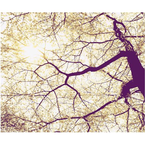 Komar Wandtapete - Sunshine - 250 x 300 cm - Vlies Digitaldruck - Naturmotiv (1/2)
