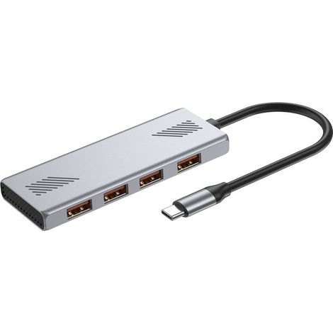 Hub GEMBIRD 4 ports USB 3.2 (GEN 2) TYPE-C gris (1/3)