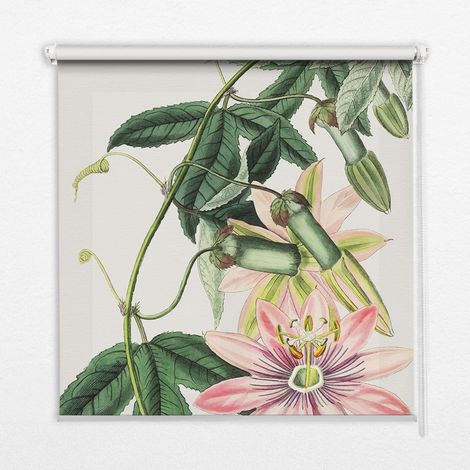 Innenrollo Fensterrollo - Rollo ohne Bohren - Sichtschutzrollo - Lichtdurchlässiges Rollo - Rechteckiges - Rollo - (70 cm x 140 cm) - Rosa Blume