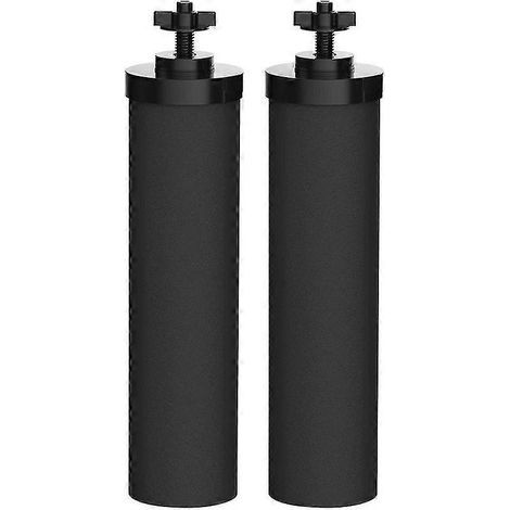 Élément filtrant Berkey Black Natural pour la purification de l'eau (2 pièces)