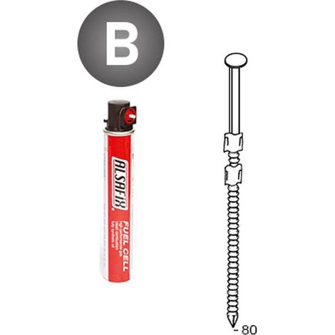 2 200 Pointes Annelées en Bande 20° (Pack) - 3.1x80 mm + 2 Cartouches de Gaz Rouge - D-Work (1/5)