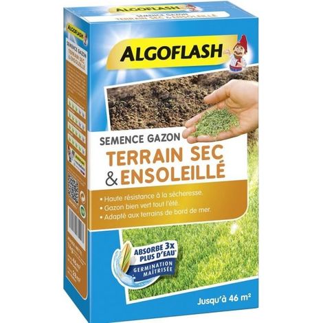 ALGOFLASH - Gazon terrain sec ensoleille 1kg