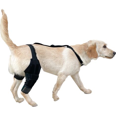 Support de pattes réglable pour chiens - Protection des pattes arrière et des membres - Durable et confortable - Taille M (1/3)