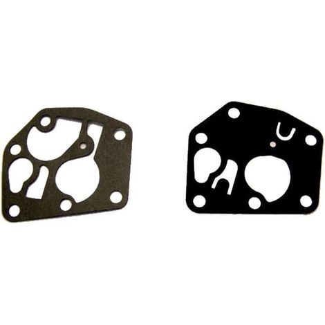 Membrane + joint BRIGGS ET STRATTON 495770 - 281028 - 795083 (1/2)