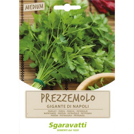 SEMI PER ORTAGGI E VEGETALI prezzemolo gigante Napoli
