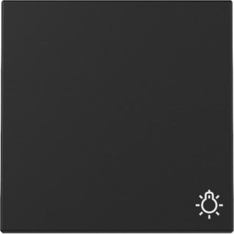 Gira Wippe Symb. Licht System 55 Schwarz m [3285005], 3285 005
