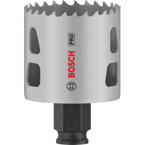 Bosch Set di Punte MultiPack in Acciaio 24 pezzi