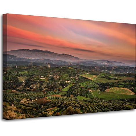 Leinwanddruck Naturpanorama des Hochlands 90x60 cm