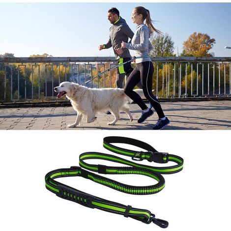 [JAMAIS UTILISÉ] Laisse de dressage pour chien (1/4)