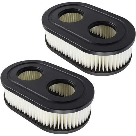 Lntyq 2 PCS Filtre à Air pour Tondeuse à Gazon pour 550E-550EX Briggs & Stratton 798452 593260 5432 5432K (1/5)