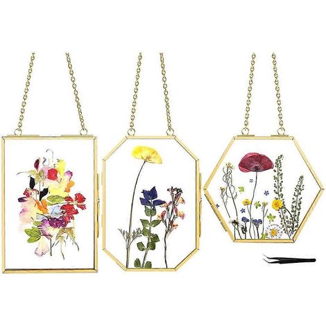 Lot de 3 cadres pour fleurs pressées avec pince à épiler, cadres muraux doubles en verre avec chaîne en métal pour fleurs séchées pressées (1/5)