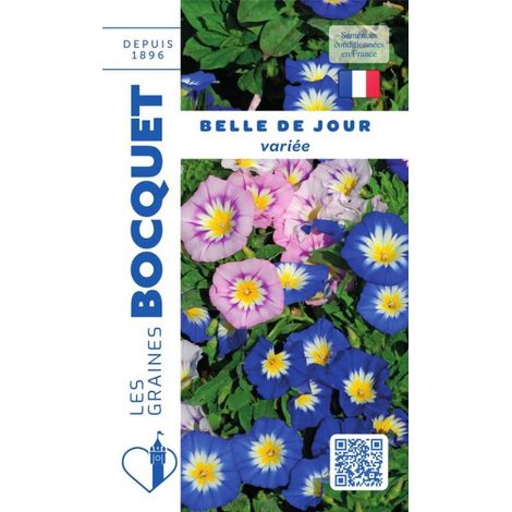 Belle de jour variée - 3g