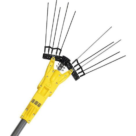 Abbacchiatore Elettrico Supersonico 12 Volt Carbonio (1/3)