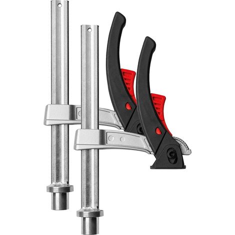 Bessey Spannelement-Set TW20-15-8KLI-Set für Multifunktionstische ø20 VE2 (1/5)