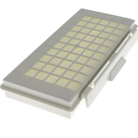 Filtro Hepa per aspirapolvere bosch