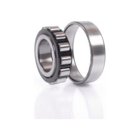 Roulements à rouleaux cylindriques N310 ETVP2C3 27mm Ext 110mm Int 50mm foret cylindrique .FAG