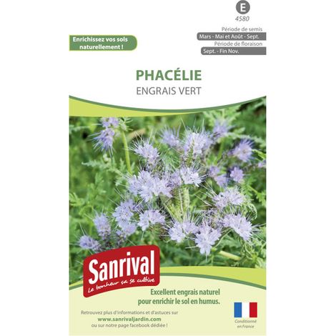 Graines d'engrais vert phacélie – Plante mellifère à forte végétation – Surface couverte 100 m² – Lutte contre les nématodes – Sanrival