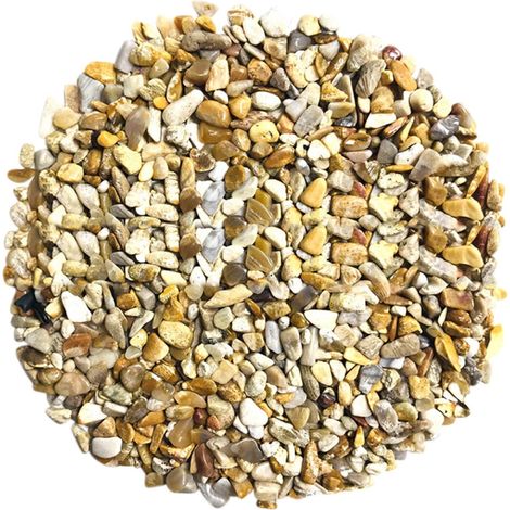 Pierres Décoratives Pour Plantes - Galets Naturels Polis - Remplissage Pour Vases Terrariums et Jardins Miniatures - 100 g (1/4)