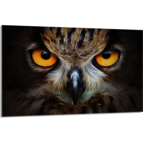 Placa protectora de vidrio para estufa 80x52 Búho (1/5)