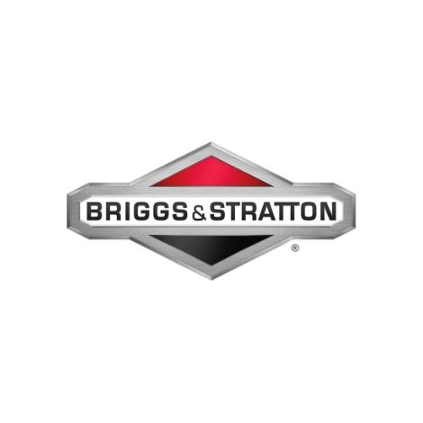 Albero motore ORIGINALE BRIGGS & STRATTON 691456
