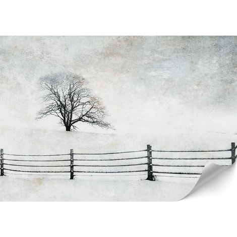 Papel pintado no tejido estándar - 100 x 70 cm - estilo minimalista - naturaleza Papel pintado no tejido estándar - 450 x 315 cm - estilo minimalista - naturaleza (1/4)
