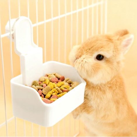 Comederos y bebederos para conejos. Aptos para jaulas, cachorros, gatos, conejos, cobayas, hurones y otros animales pequeños (blanco).