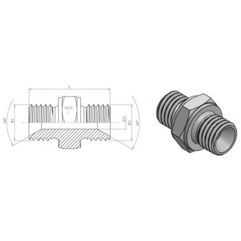 ADAPTAD.M-M BSP(60Âº)INOX 1/4" - DICSA