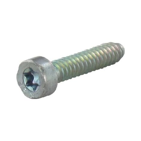 Tornillo de culata IS-D 5x24 STIHL 90754784155