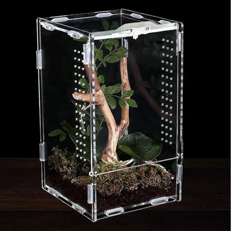 Terrarium en Acrylique 11 x 12 x 20 cm Terrarium Phasme Boîte d'alimentation D'insectes Boîte d'alimentation Reptiles Spide Escargots Gecko (1/5)