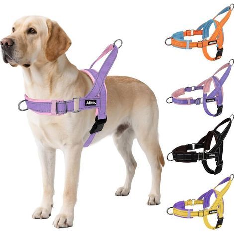 Harnais Tactique Anti-Fuite amélioré pour Chien, réglable au Niveau du Cou et de la Poitrine, Anti-Traction, avec poignée rembourrée Souple, idéal pour Les Grands Chiens Violet-Rose L (1/5)