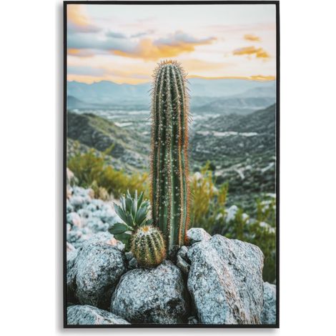 DRUCK AUF LACKIERTER LEINWAND MIT KAKTUSRAHMEN -A- CM 60X4X90 (1/5)