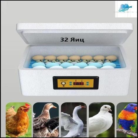 Écloserie domestique pour petits œufs de canard, d'oie et de pigeon, entièrement automatique et intelligente, idéale pour les petites fermes. (1/5)