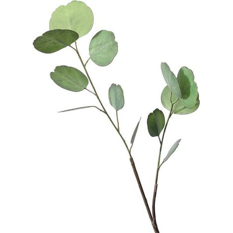 Fleur Décorative d'Eucalyptus Artificiel en Plastique Vert Clair 14 x 1 x 65 cm - PANGIVO