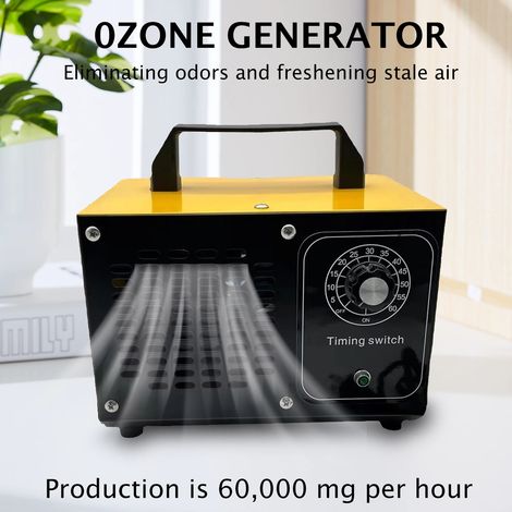 Générateur d’ozone 60 g/h en acier inoxydable, neutralisateur d’odeurs avec minuterie pour fumée, animaux domestiques, maison et voiture 220V 120W (1/5)