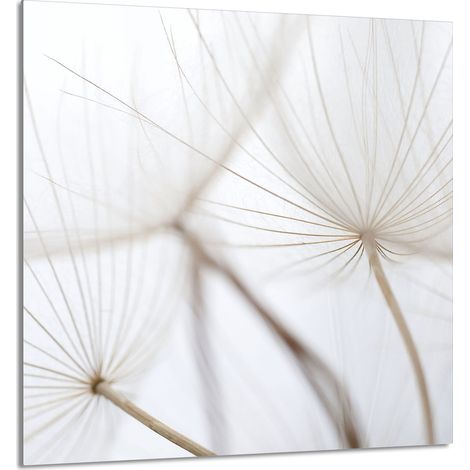 Panneau de verre pour la cuisine 60x65 Fleurs (1/5)
