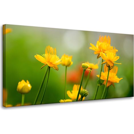 Leinwanddruck Botanik Gelbe Blumen 80x40 cm