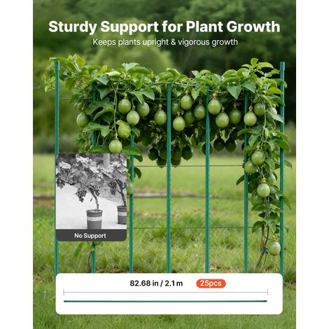 Tuteur Plante 2,1 m Tuteur Plante Grimpante 25 PCS Tuteurs à Tomates Jardin pour Soutien Plantes Grimpantes Légumes Extérieur, Méta… (1/5)