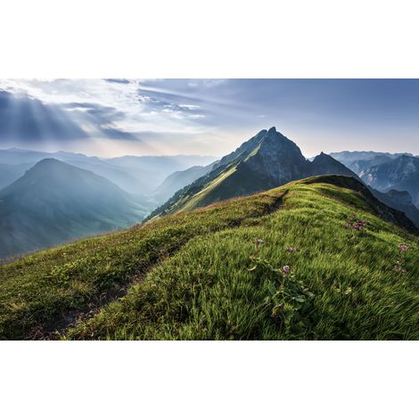 Papier peint panoramique naturel Veine Verte (1/4)