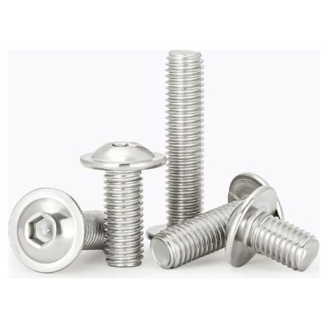 Vis à métaux M6x25mm en acier inoxydable A2 V2A – Tête bombée avec bride et six pans creux – Lot de 20 pièces pour connexions mécaniques (1/4)