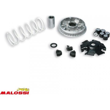 Variateur Malossi pour Scooter Kymco 125 Dink Street Après 2009 (1/2)