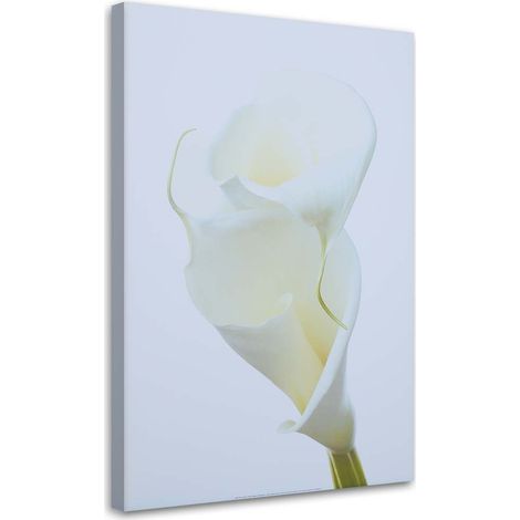 Tableau déco Fleurs de callas nature blanc 40x60 (1/5)