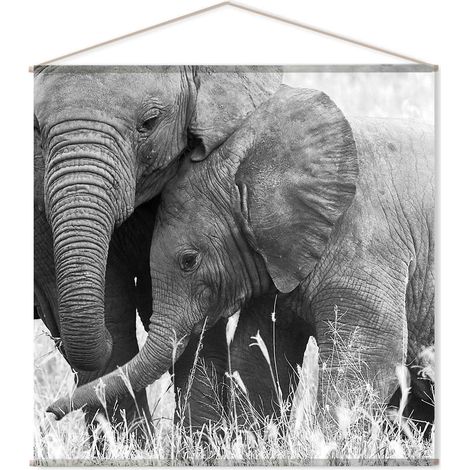 Toile murale imprimée éléphant PANORAMA (1/2)