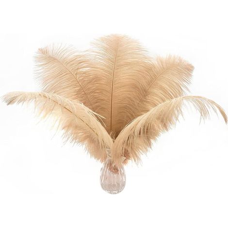 24 pièces de plumes autruche blanches naturelles de 25 à 30 cm (10 à 12 pouces) pour les centres de table de mariage, la composition florale et la décoration de la maison. (1/5)