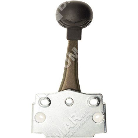 Leva acceleratore ROQUES ET LECOEUR COMPATIBILE - 037339