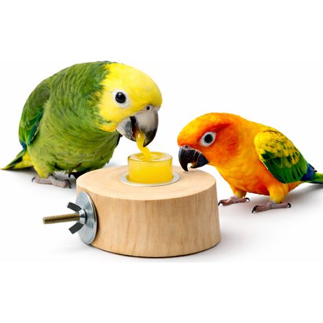 Soporte - Mesa JAVA para loros para gelatina y otras golosinas (1/4)